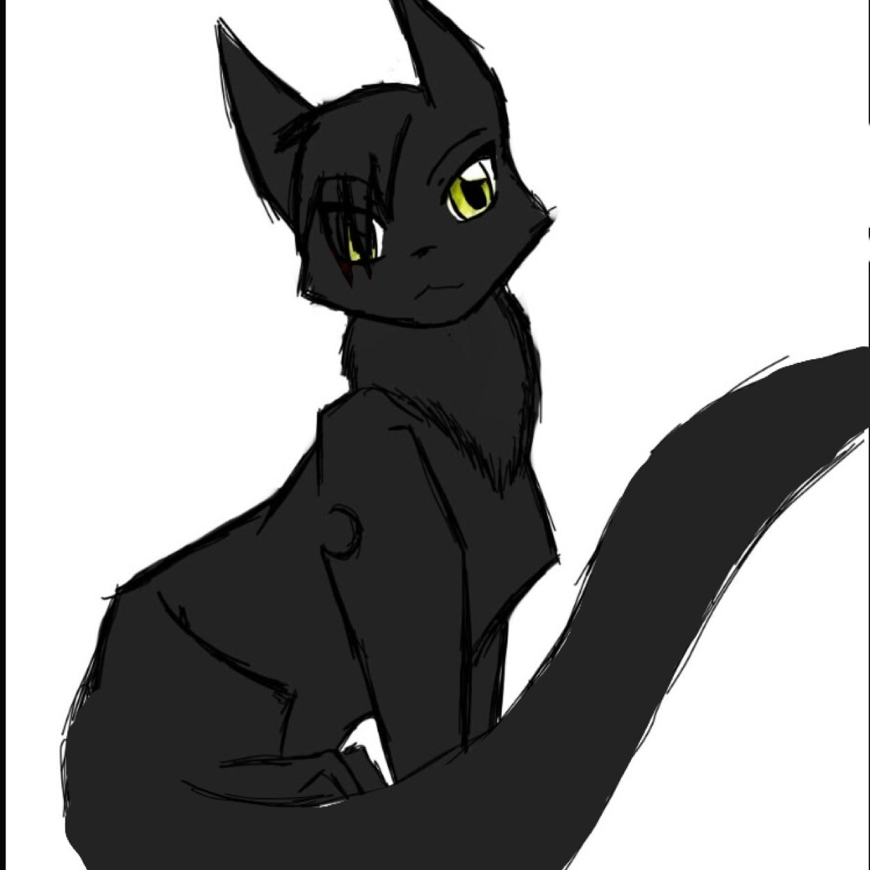 Male cat, quite young,has no clan,@EWittKamp is my beautiful mate,Sass Master @Punk_Scarleen. Quiet and secretive. Average Indoor Nice Cat. Mean sometimes
