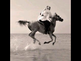 ﮔﺑر ﺂﻟﺧطآ ﻣﺂﮔل ﻋذر ﻳﻏطيھ ﻣثل ﺂﻟﺗﻋﺂزي ﻣﺂﺗرد ﺂﻟﻣﺻيبھ