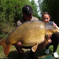 Bayeswater fisheries (@bayeswater) 's Twitter Profile Photo