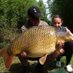 Bayeswater fisheries (@bayeswater) Twitter profile photo Bayeswater fisheries (@bayeswater) Twitter profile photo