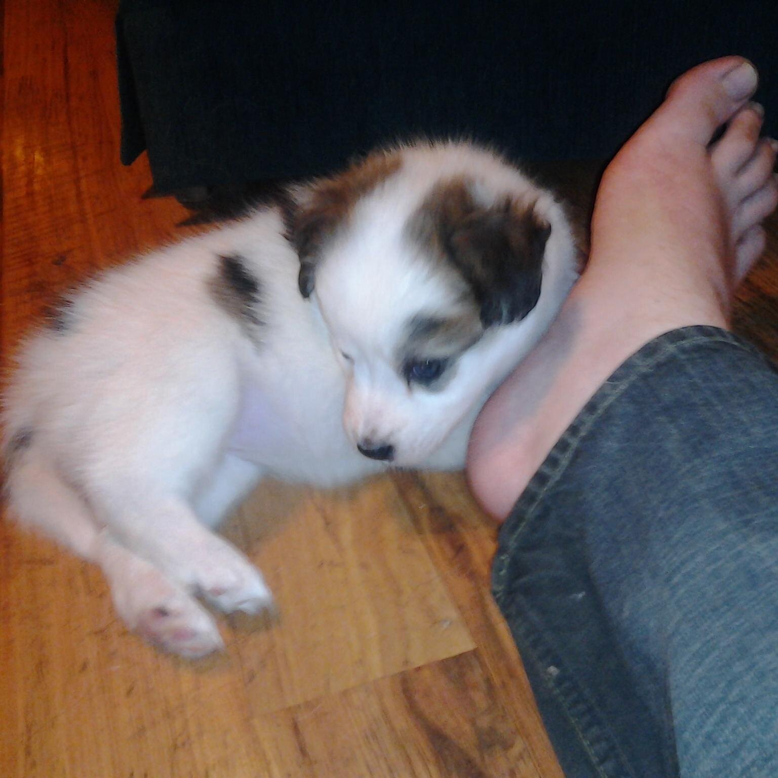 Code_Red999's profile picture. Just some guy.