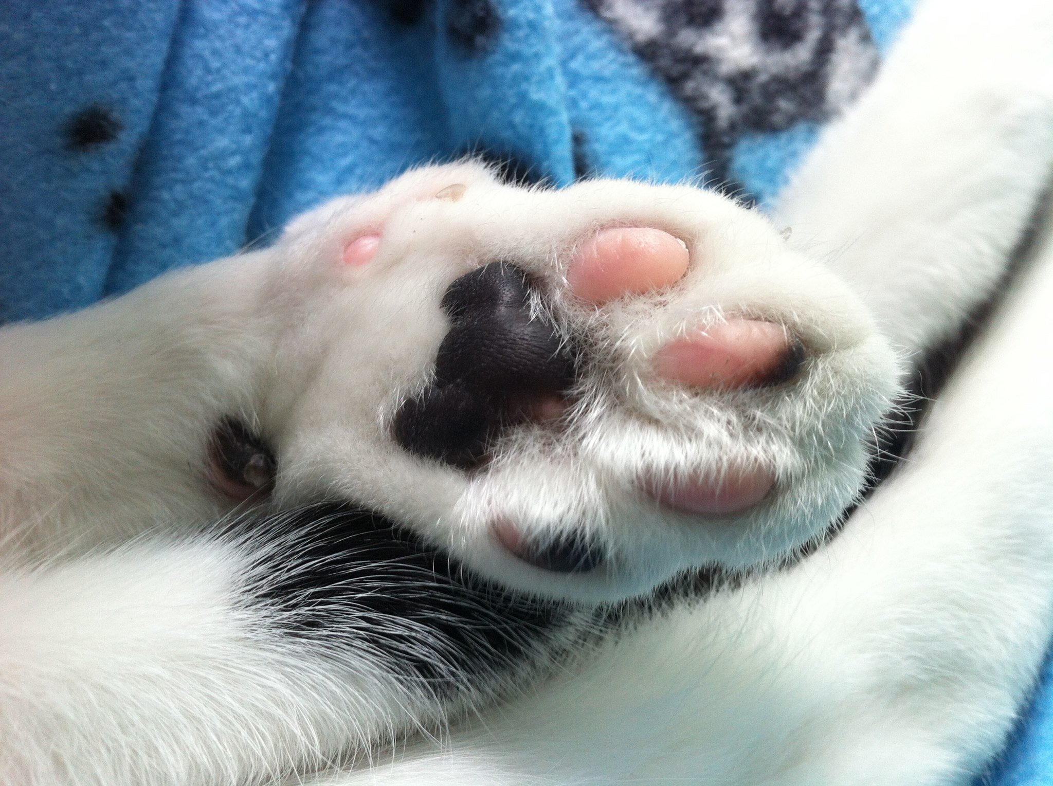 PowermeHuang's profile picture. 