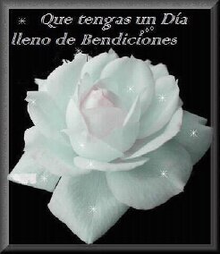 Ibisdel's profile picture. 