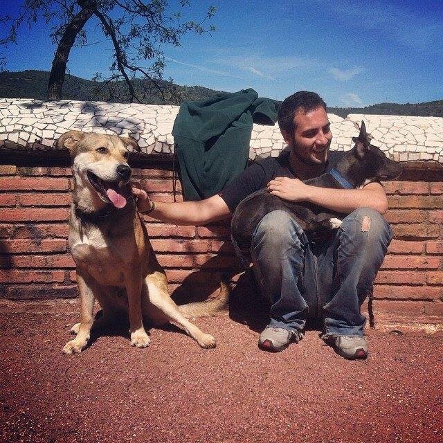 Manolomf16's profile picture. Estudiante de ciencias, interesado en política y economía, visionario, autónomo.