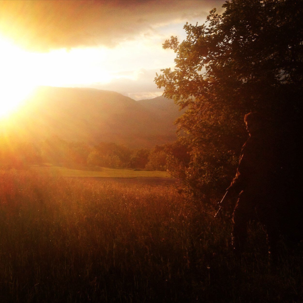 LeMecSurYtb's profile picture. 