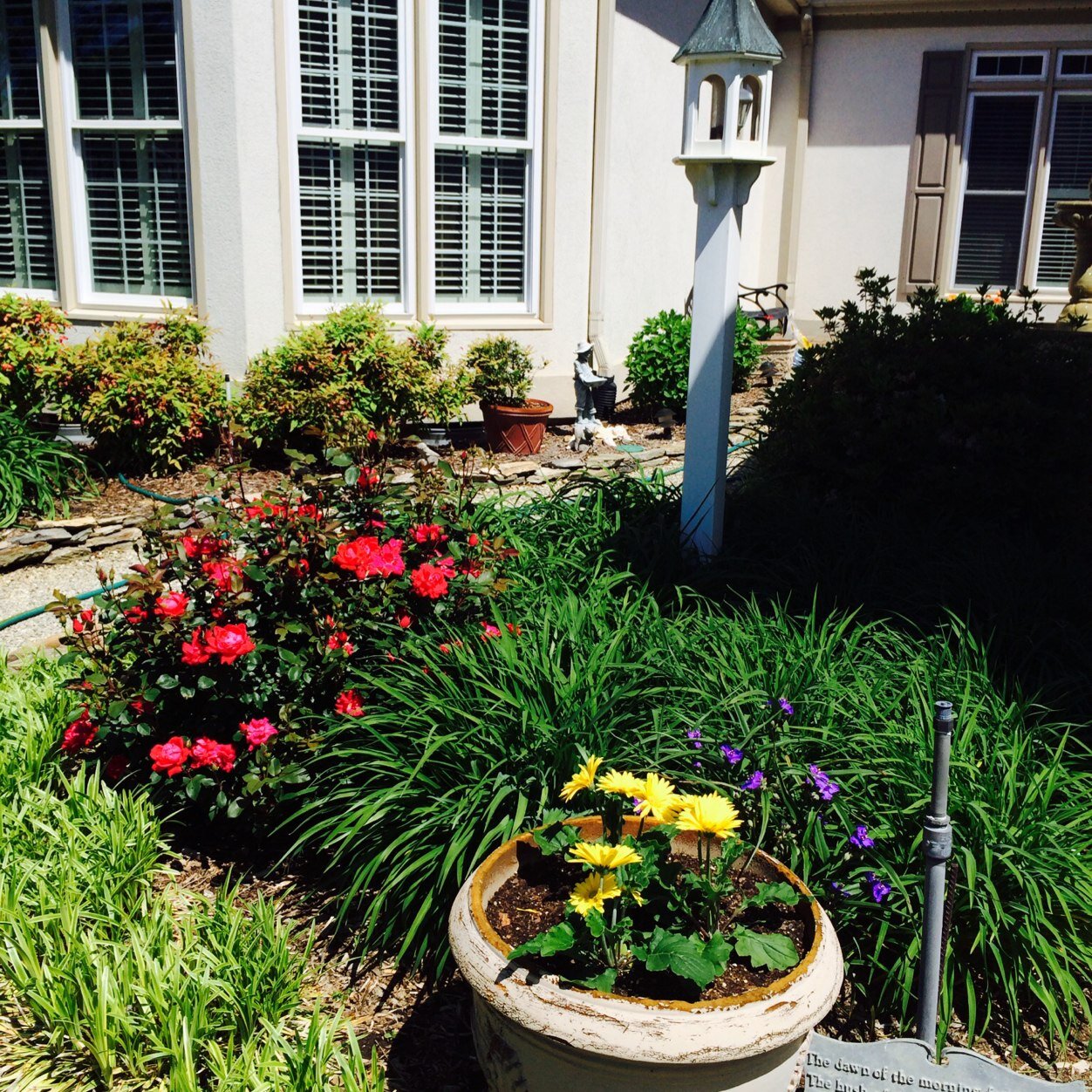 carolgfp's profile picture. Youth Advocate and CEO Greenville Family Partnership.  Youth Empowerment Rules! Healthy lifestyles,drug free youth promotes a healthy future for all.