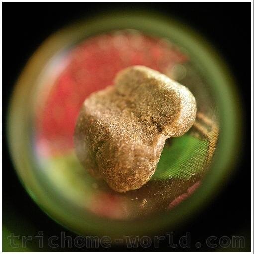 #marijuana strain reviews from #cannabis seeds to #weedporn for #weed lovers