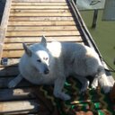 Cody Briggs - @Cody_Briggs12 - Twitter