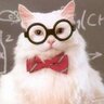 Harbles's profile picture. (Retired)
Long $TSLA.
CyberTruck Foundation edition owner.
A skeptical cat. 
Make life a positive-sum game.
Cui bono?