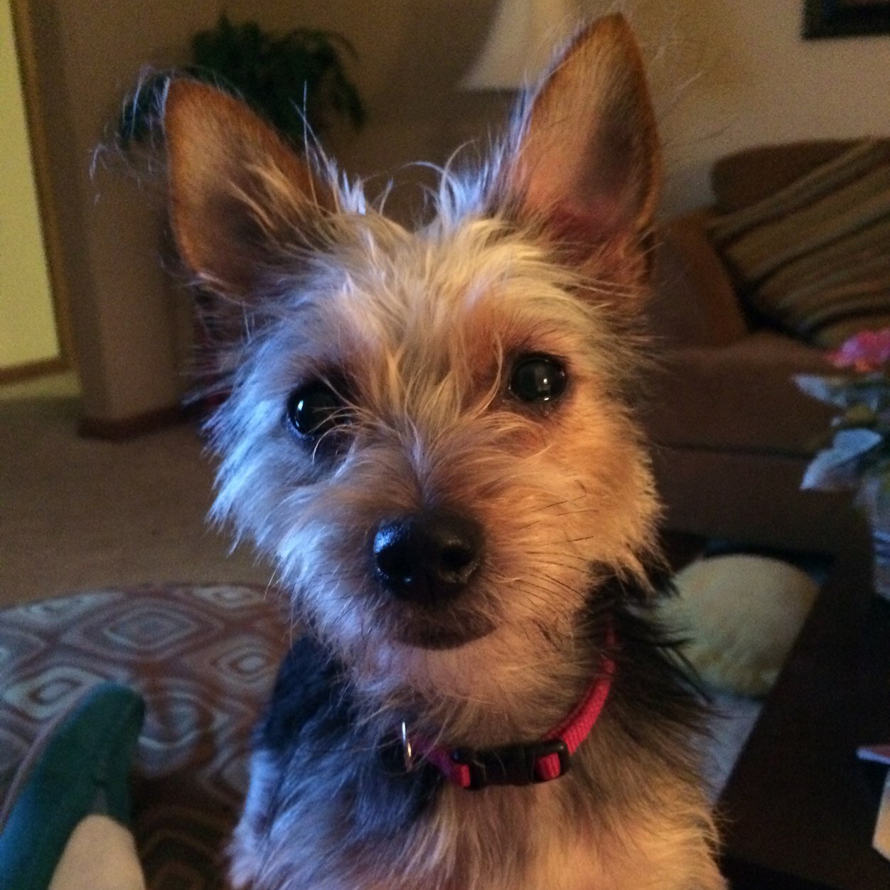 cladrach1's profile picture. 