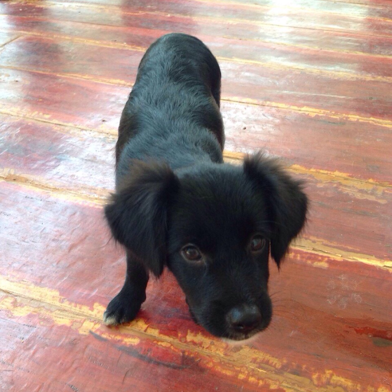 1229Sabu's profile picture. My mom caught me jacking off in my room yesterday.