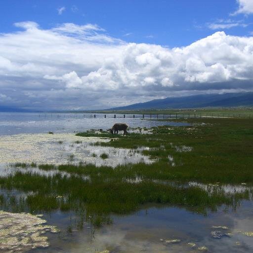 流向宽广 流向自由