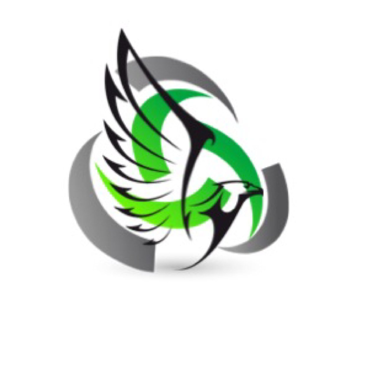 Gaming Orginization hosting CoD and Halo tourneys throughout the U.S. on Xbox One, Xbox 360, Ps3, and Ps4. We follow back all gamers.