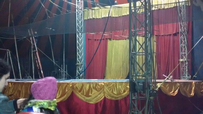 f7f0cd377f8e418's profile picture. 