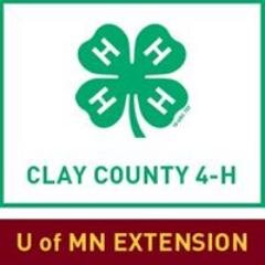 We provide hands-on learning opportunities for young people in Clay County.