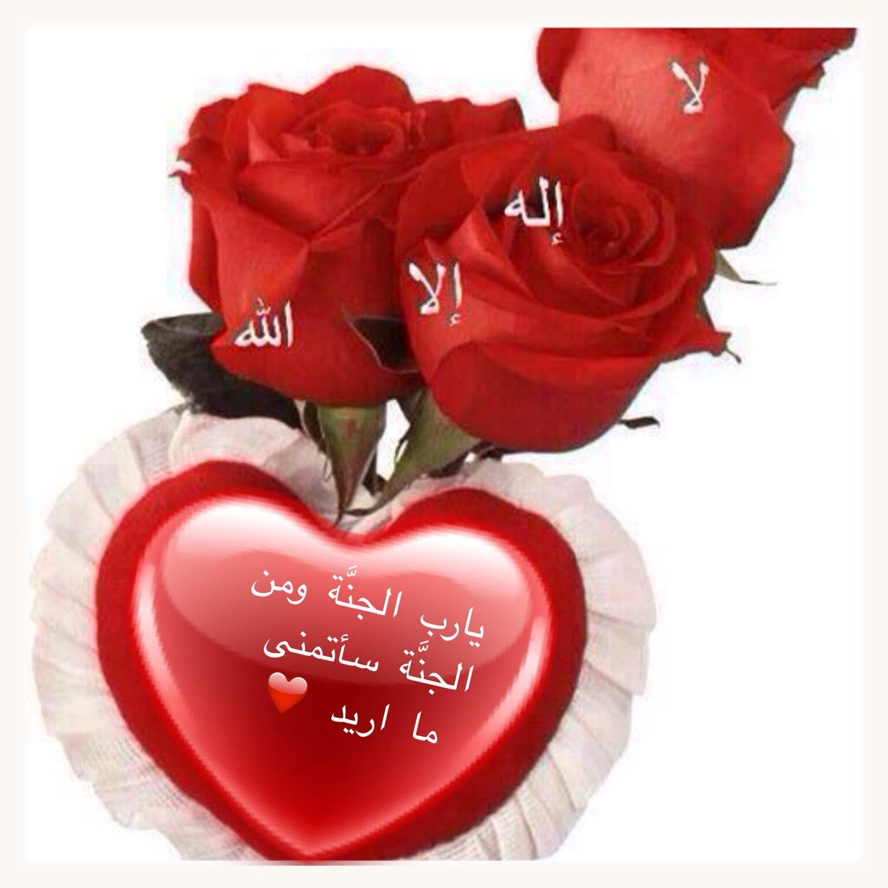 هدفي وغايتي رضى الله اولاً، والمطر ☔️حين يغادر يترك لنا { رائحة زكية } لايُشبهها شي ،دعوت الله أن أكون كالمطر ☔️هطول طيّبٌ في الحياة ورائحة أطيب حين الرحيل..