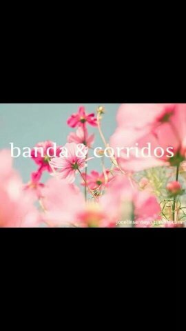 Hey Follow me and ill Fallow back ? c;