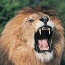 Adam Dodd - @Shimomeiji - Twitter