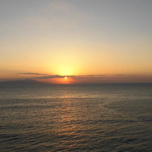 193net's profile picture. 旅行・演歌・動画制作・etc