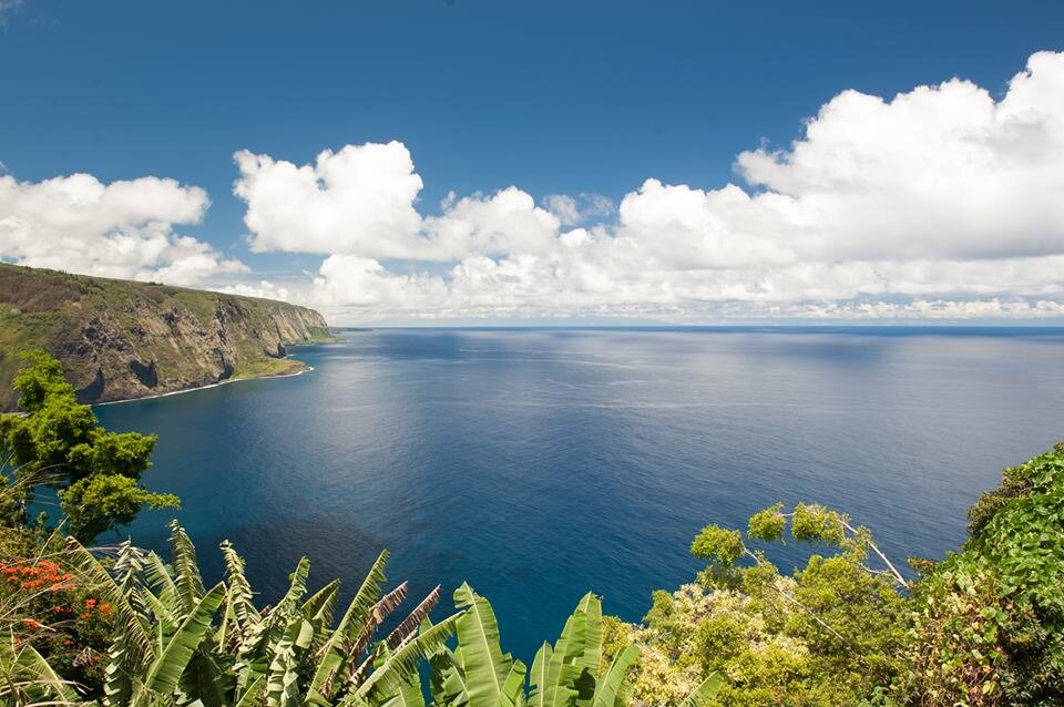 Hale Kukui, a Hawaiian vacation overlooking Waipio, ocean cliffs, waterfalls and our organic exotic orchard. Epic views for a yoga retreat, energy balancing...