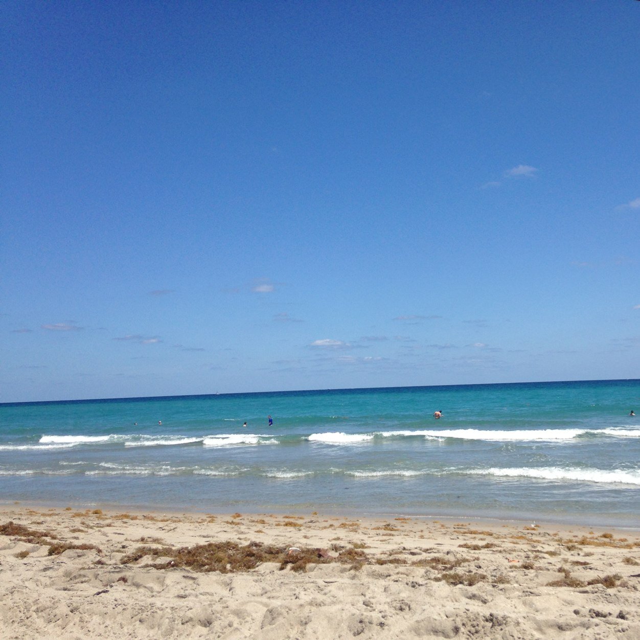 McDanielPenny's profile picture. 