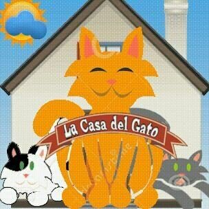 En esta casa viven mas gatos que personas por eso le dicen la Casa del Gato!!  En contra del maltrato animal y a favor de la adopción #NOcompres