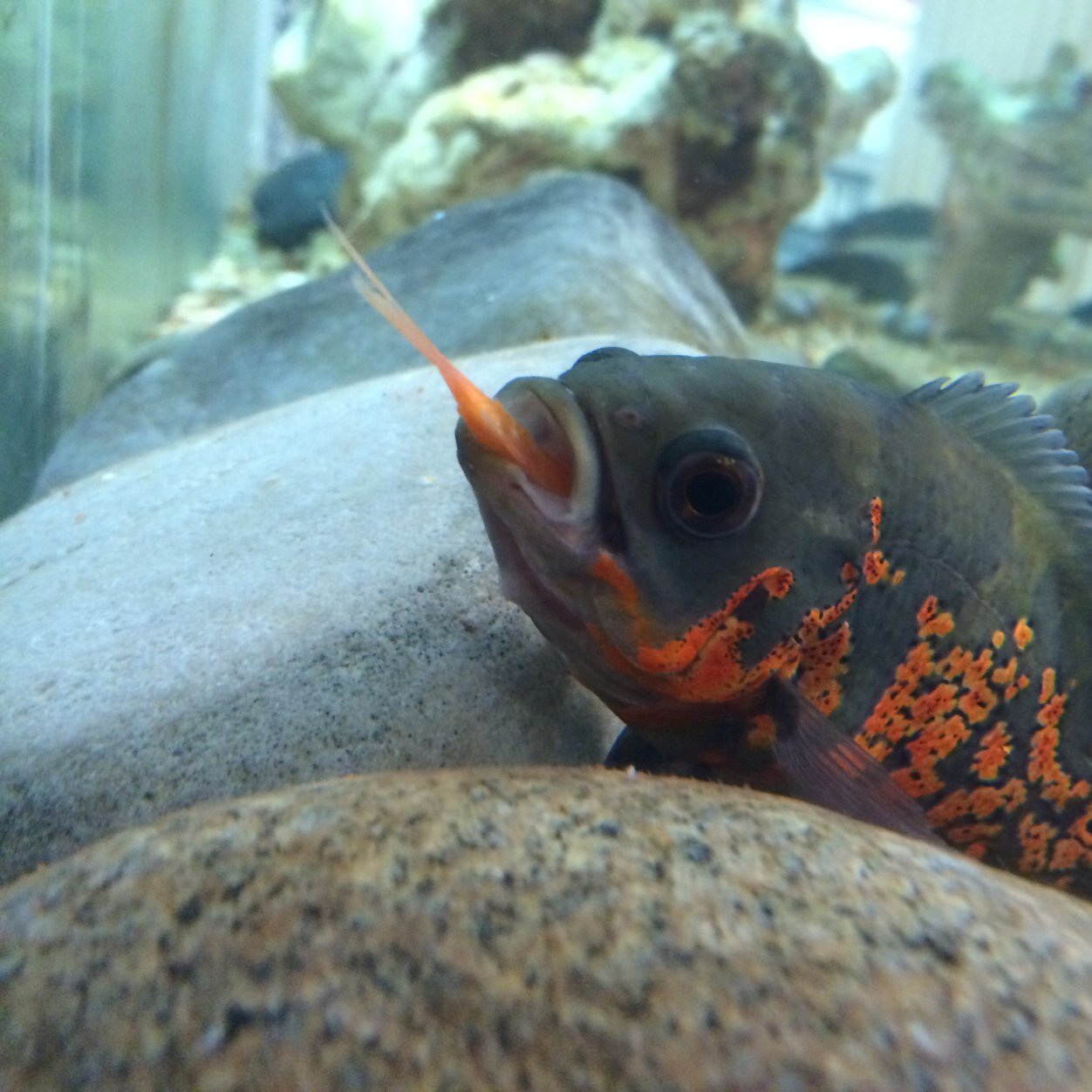 MrMixclass's profile picture. 