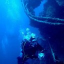 Ellen Wade - @Wadester158 - Twitter