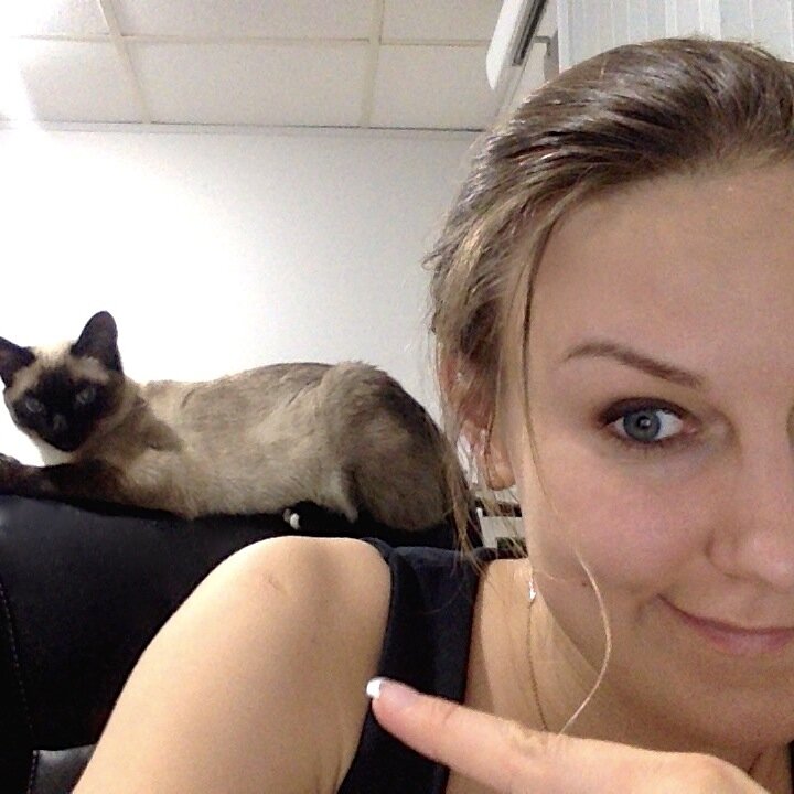 Blonde nerdette, computer scientist; machine learning and data science, visual analytics, medical imaging; cat momma.