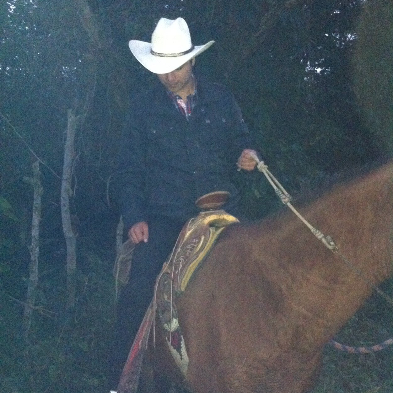 ToRawMilo's profile picture. 