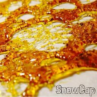 Oregon Extractions (@oregonextracts) 's Twitter Profile
