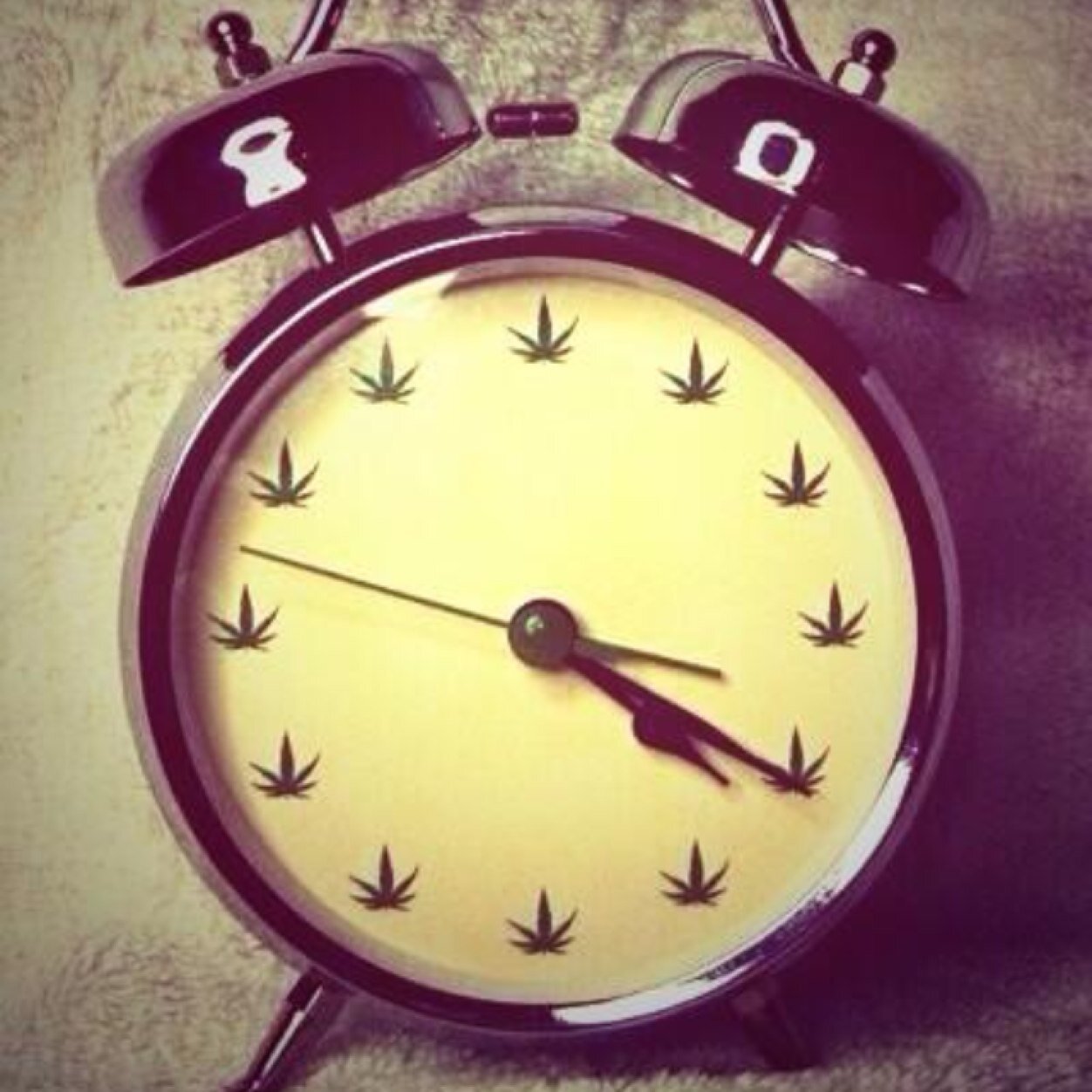 Live free, Live faster #StonerStayTrippy Ontario