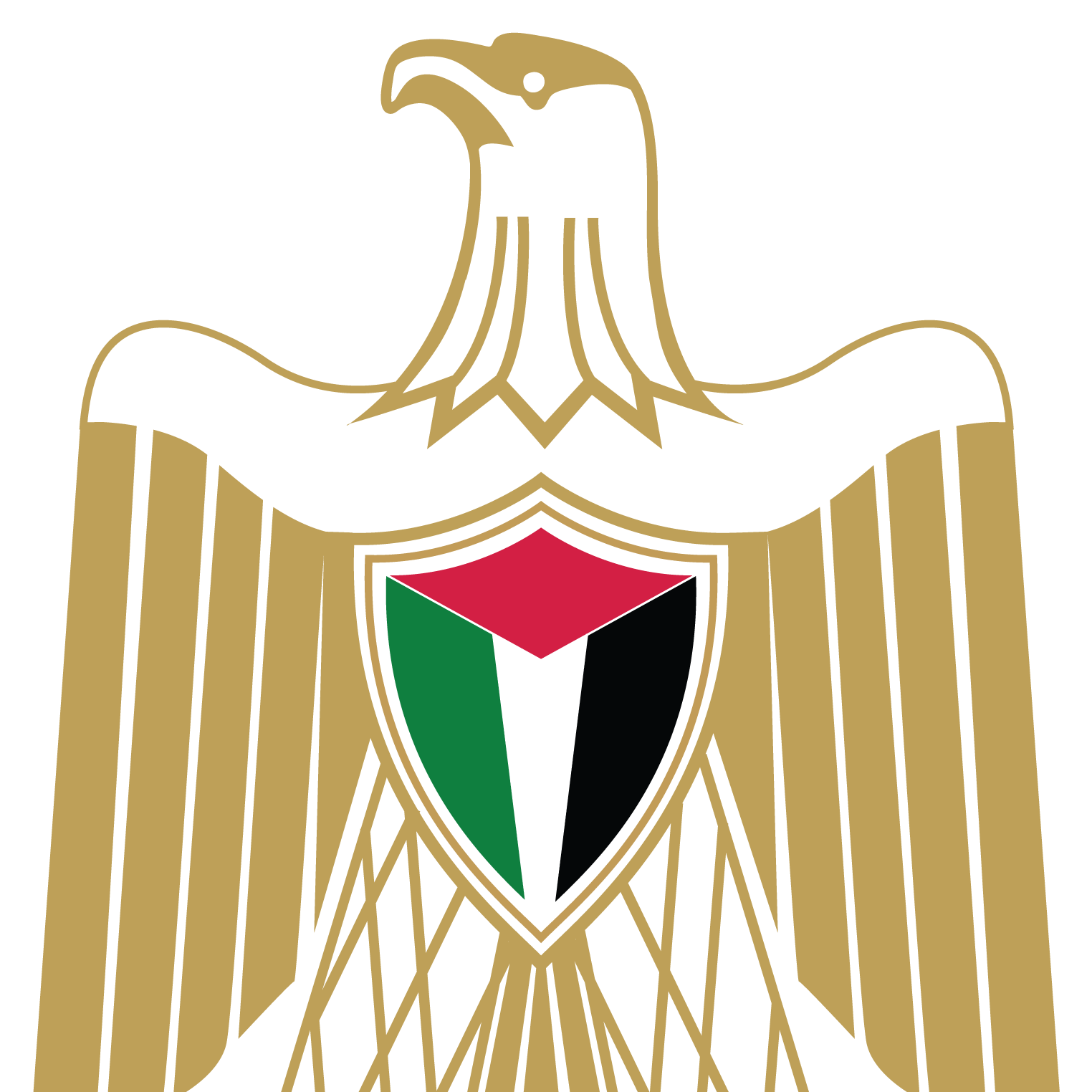Palestine_UN Profile Picture