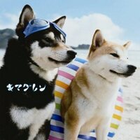 ポケポケポケット (@corrine_zhao) 's Twitter Profile