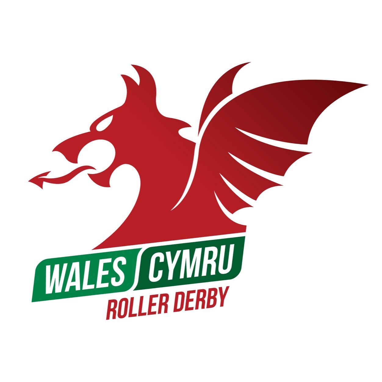 Team Wales has selected the best Welsh and Welsh heritage skaters to represent their country in derby. We'll be heading to the Blood & Thunder World Cup 2014.