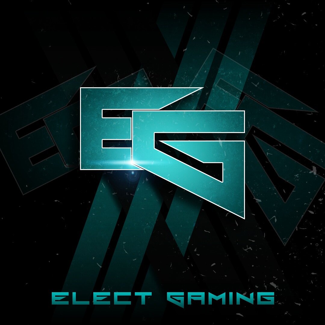 Elect_Gaming's profile picture. 