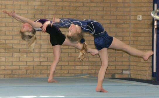 ShannonCommande's profile picture. 