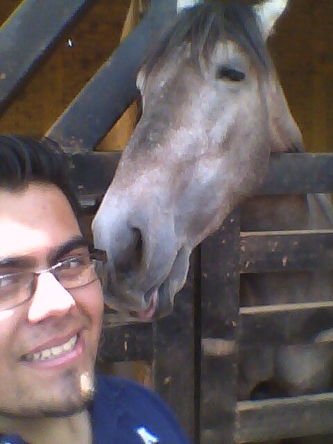 Fenix94Armando's profile picture. 