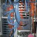 kagojohn2's profile picture. Telecommunications Engineer| Farmer | Agripreneur @welloutdorpers