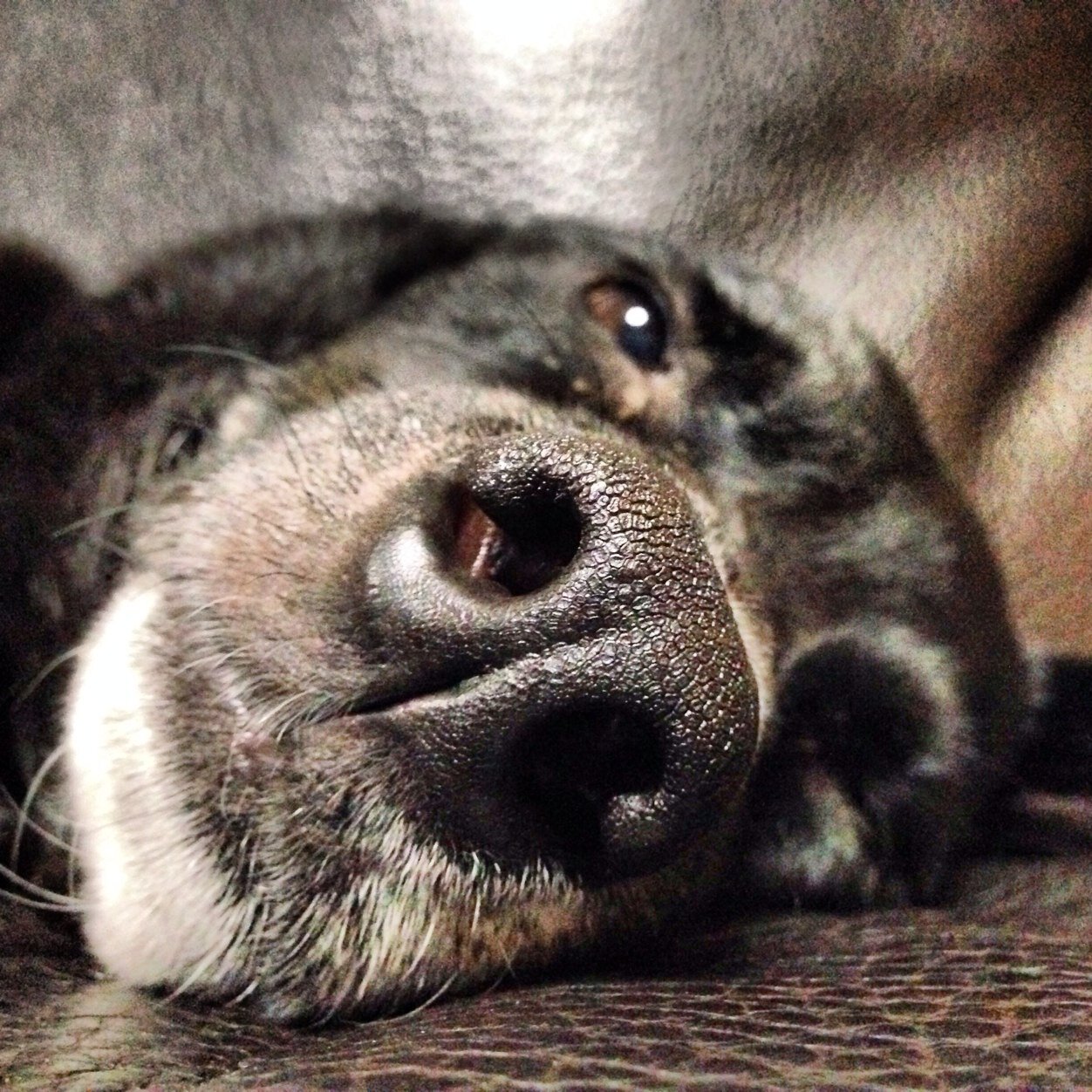 keikawate124's profile picture. Stop the Season in the Sun