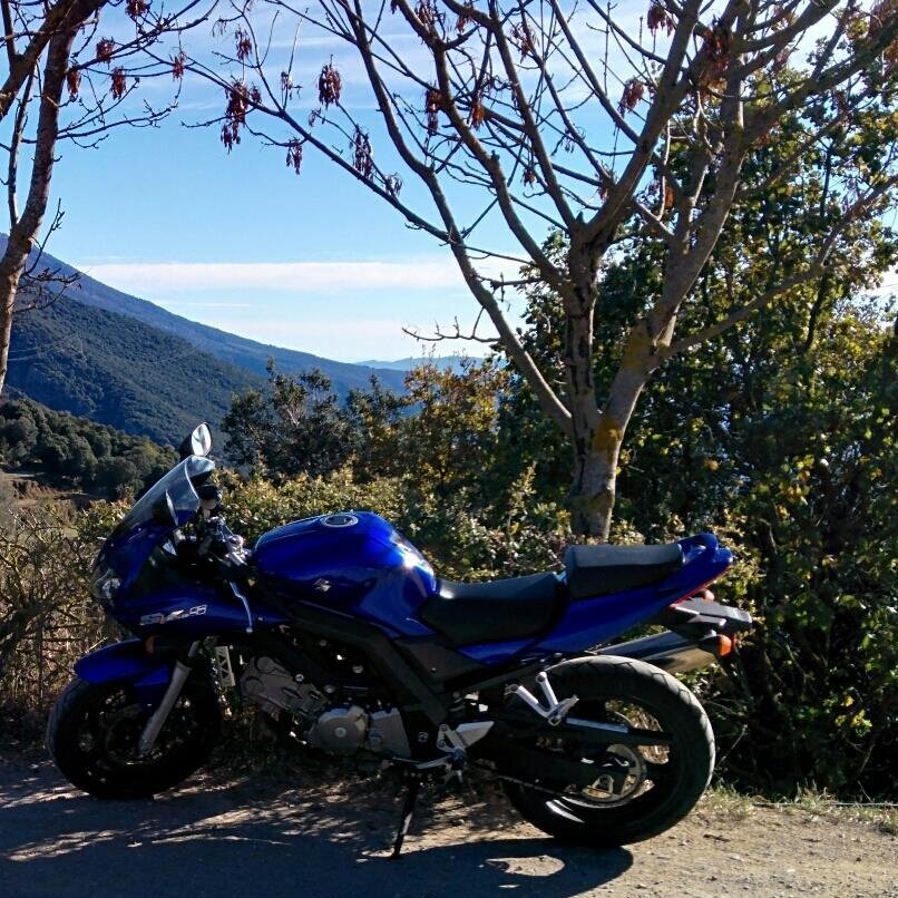 fdcduarte's profile picture. Insert Friends Here