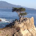 james doherty - @hossjdoh - Twitter