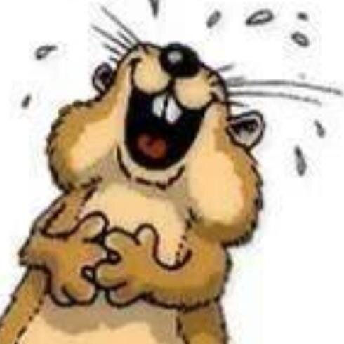 Nieuws_Zuur's profile picture. Nieuws gericht op Groningen en belangrijk nieuws in de rest van de wereld.