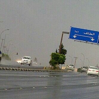 memoooo36's profile picture. Mraaam♥♥