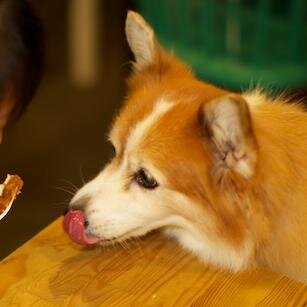 sammegsnaps's profile picture. love dance, food, and photography! https://t.co/VgDweJexq1