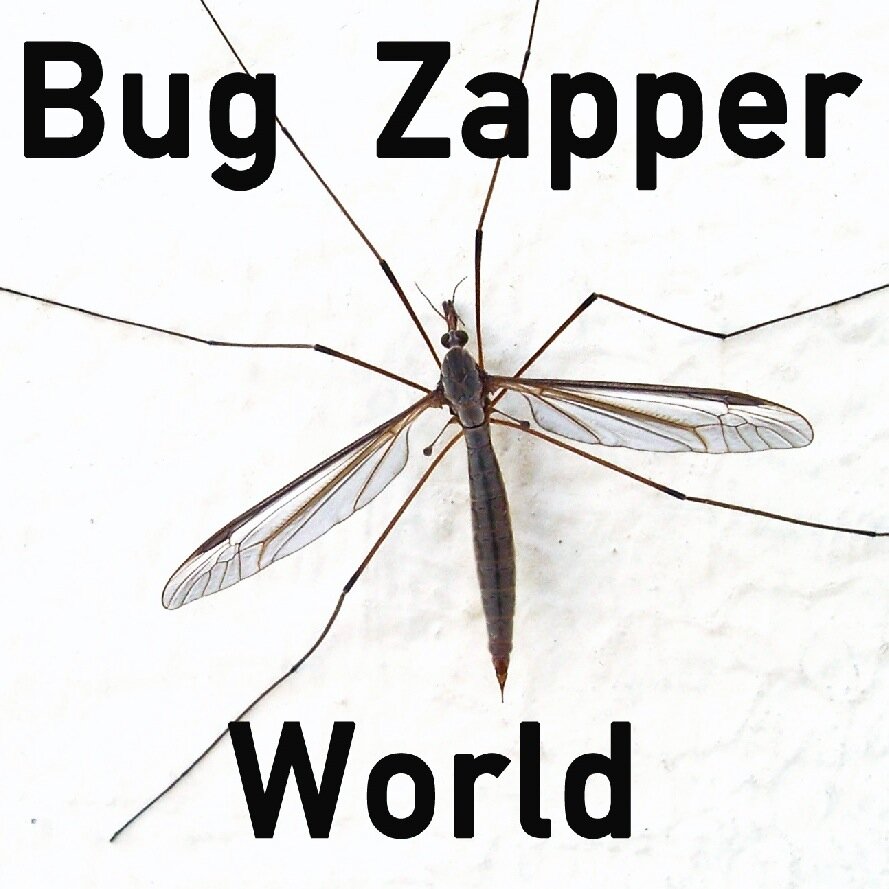 Bug Zappers and other Camping Gear