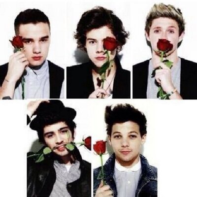 ONEDIRECTION LOVE♡ (@robin9028k) / X