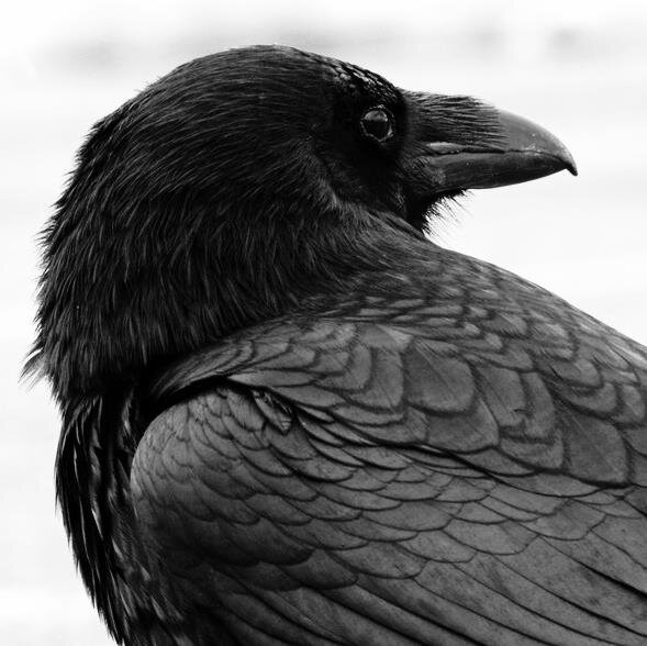 RHPottery's profile picture. Melinda Marie Alexander: Ceramic Artist, Potter, Designer, Business Owner, Writer https://t.co/i2CpPPriHK https://t.co/jZWaDnkQlP