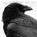 Raven Hill Pottery - @RHPottery - Twitter