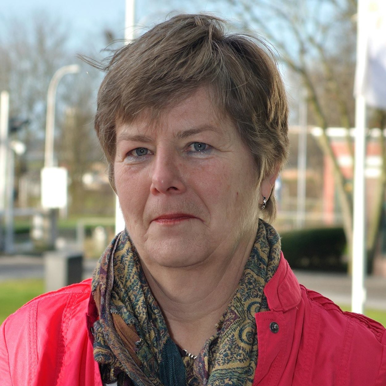 amjdegoede's profile picture. 